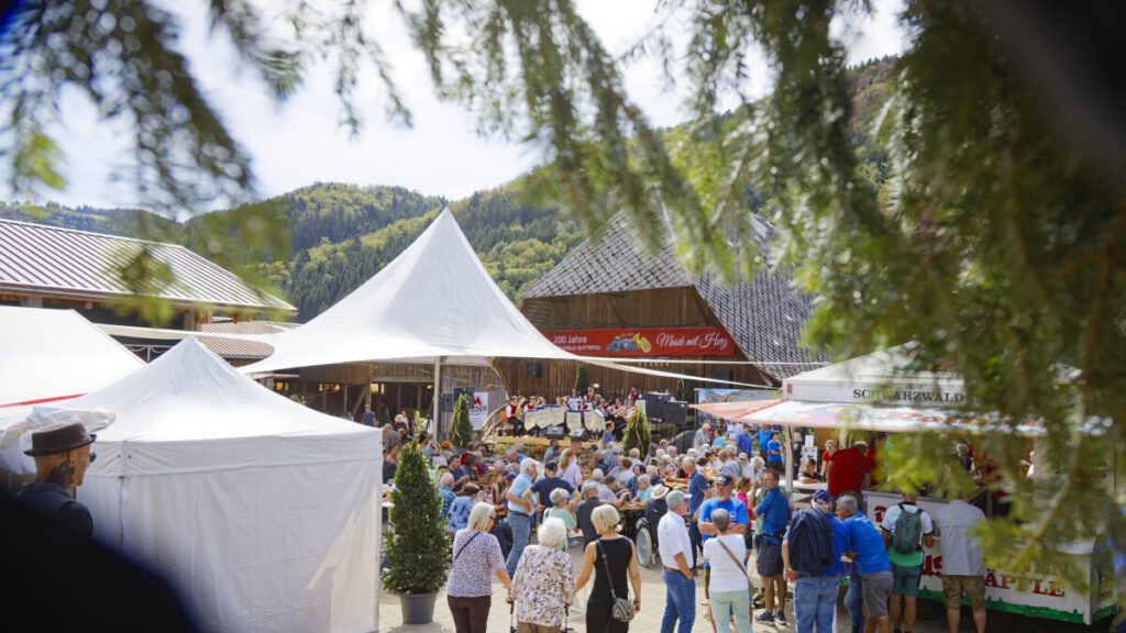 Heimatfest ins Hofbure